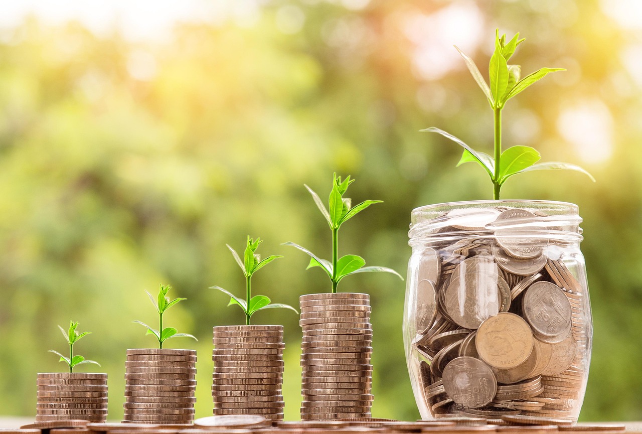 Money, coin, investment — International Patent Protection: The Patent Lawyer's Perspective
