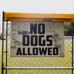 public charge rule
