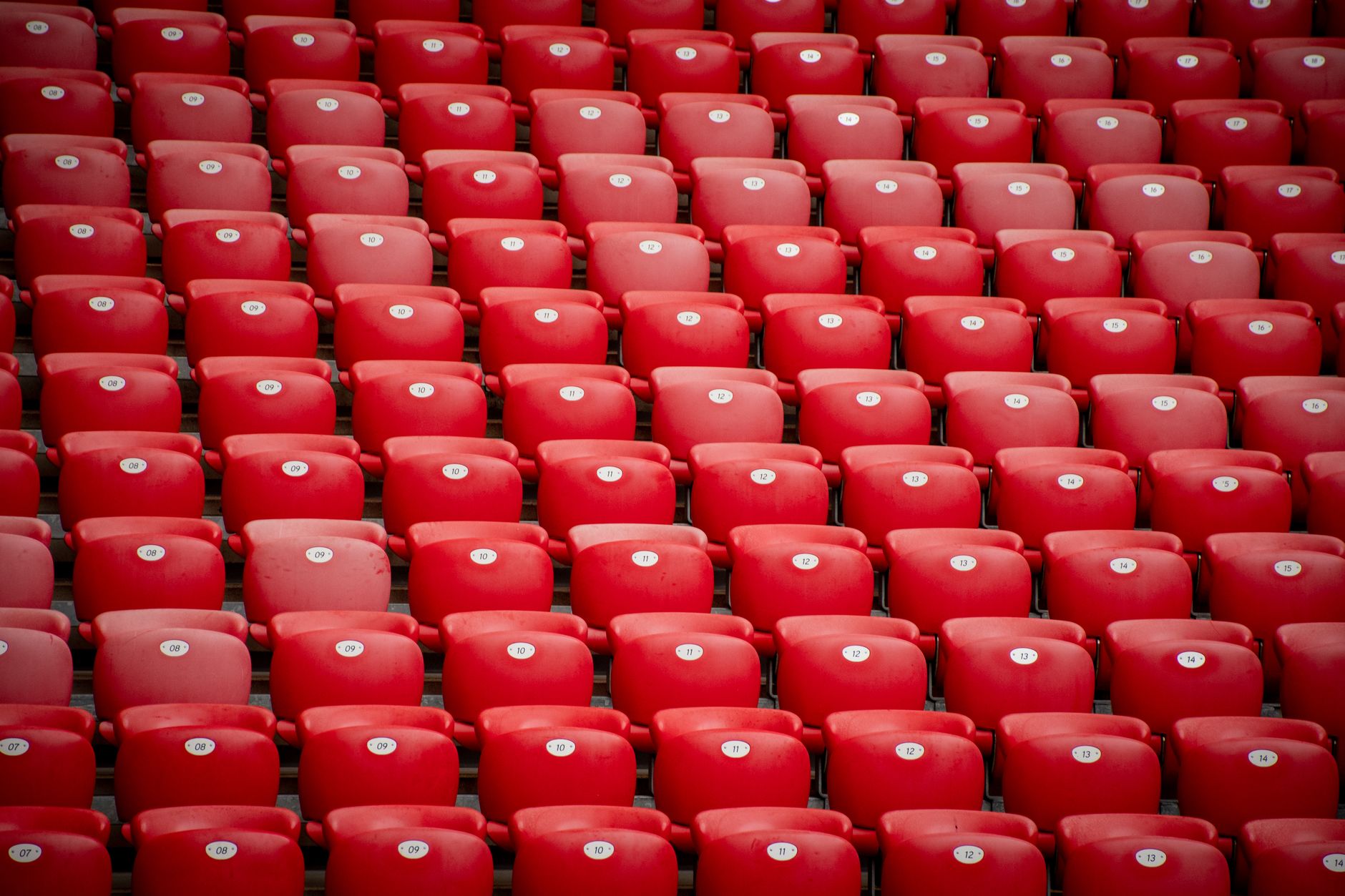 Bill Shankly series