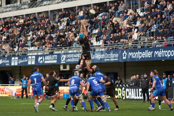World Rugby law change: Clear insights into referee confusion