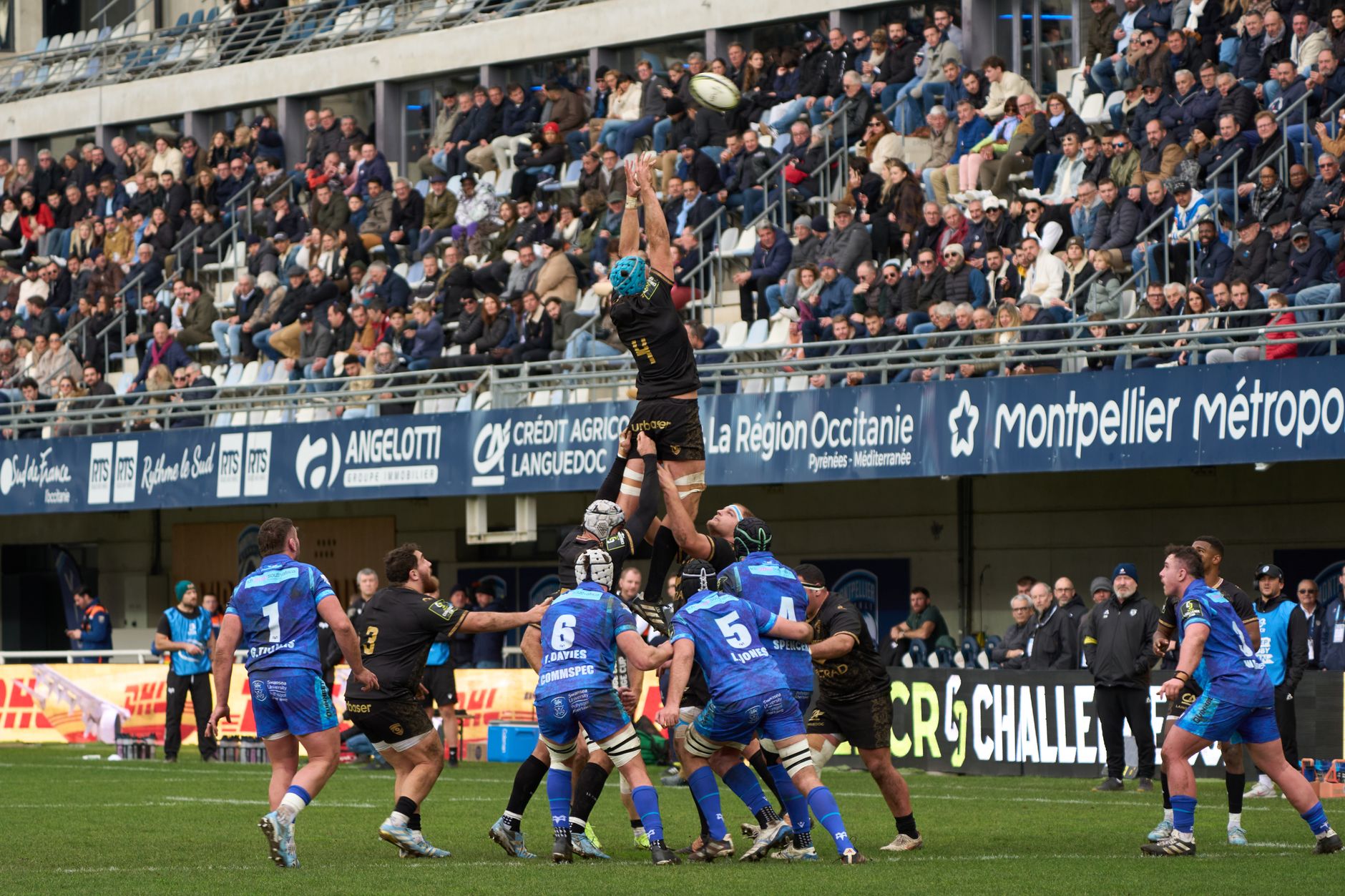 World Rugby law change